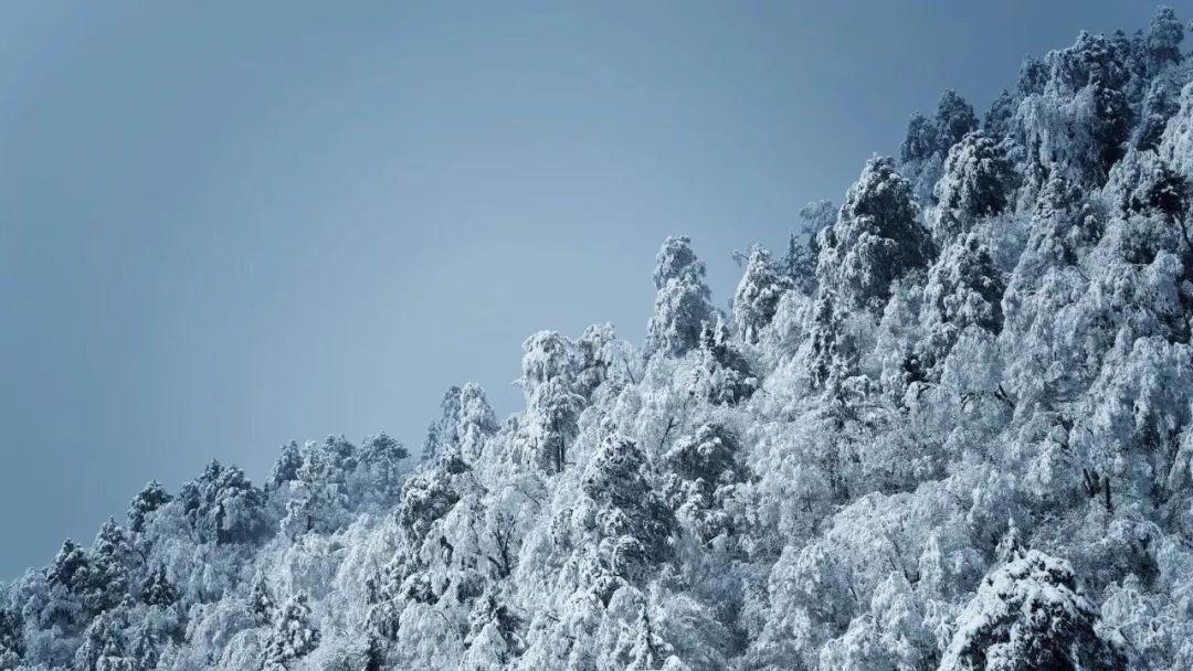 《第二十条》预售开启，赵丽颖与马丽高叶打扑克，调侃“丈夫”潘斌龙不敢和她坐一块